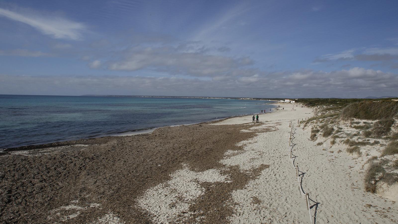 Platja del Trenc