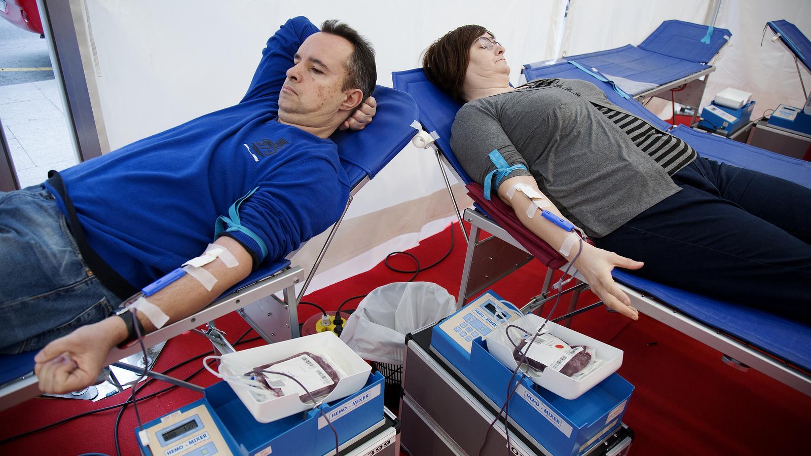 Two volunteers give blood in a file image.