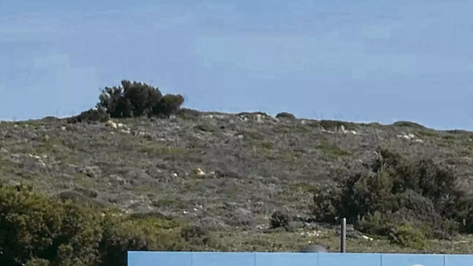 Cartell d’una nova promoció d’habitatges a Fornells.