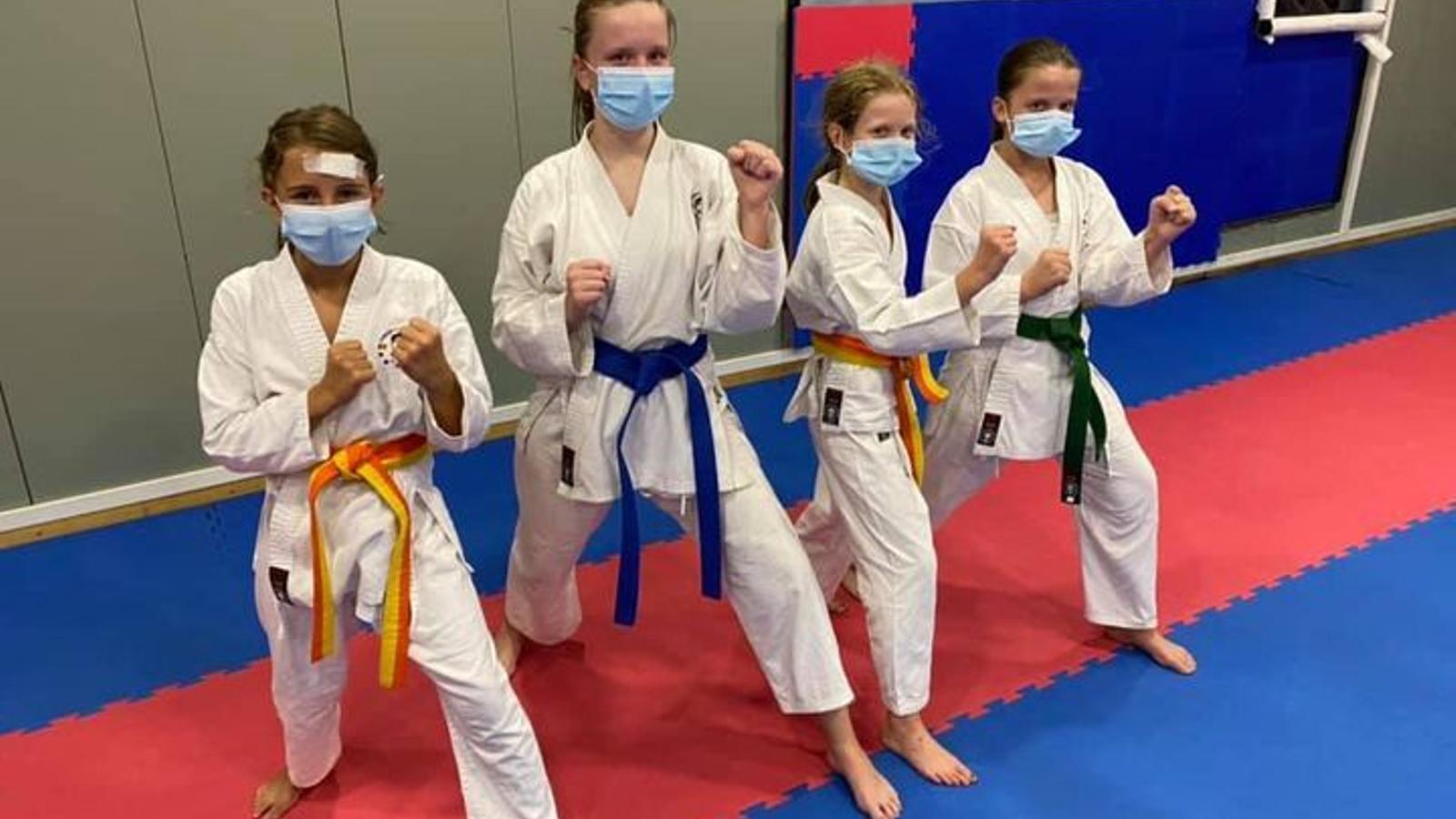 Alumnes de Karate d'Ordino. / XAVIER HERVER