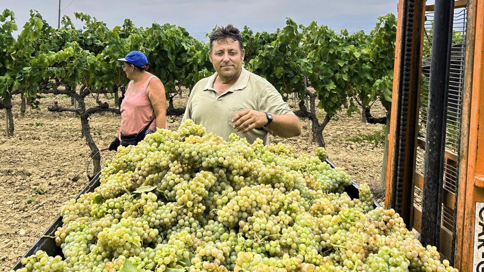 Josep Anton Vendrell, winegrower and president of the Association of Winegrowers of Catalonia.