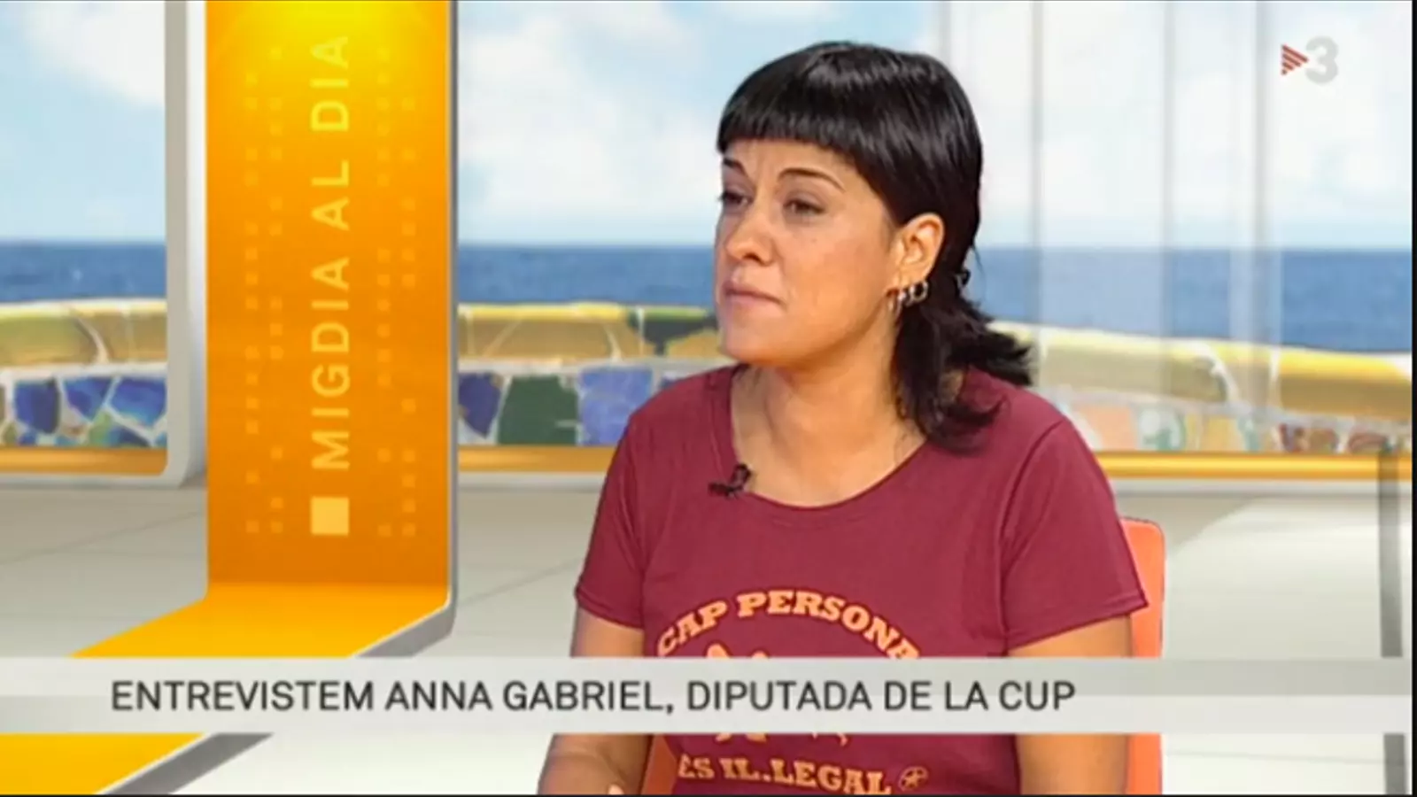 Puigdemont es reunirà amb la CUP l'última setmana d'agost