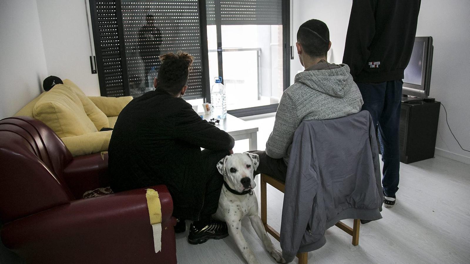 Un grup d’okupes estrenen els pisos que esperaven sis famílies