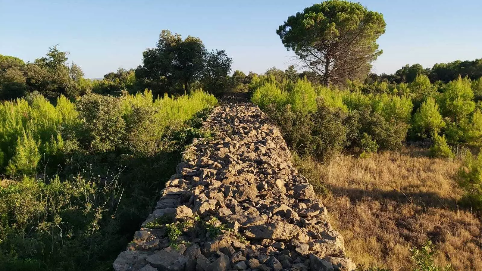 Un mur de pedra seca a l'Empordà