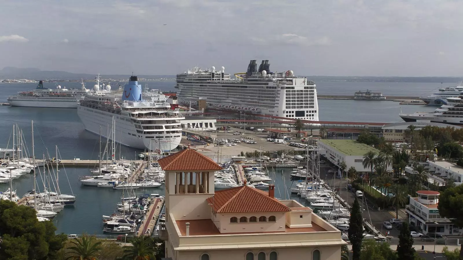 Creuers atracats al Port de Palma