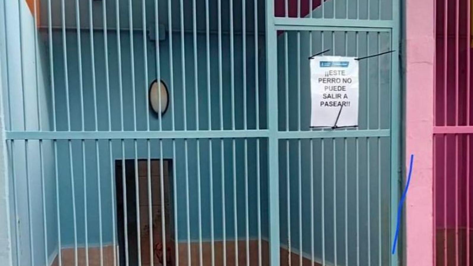 Un cartell penjat a una gàbia de Son Reus: "Aquest ca no pot sortir a passejar"