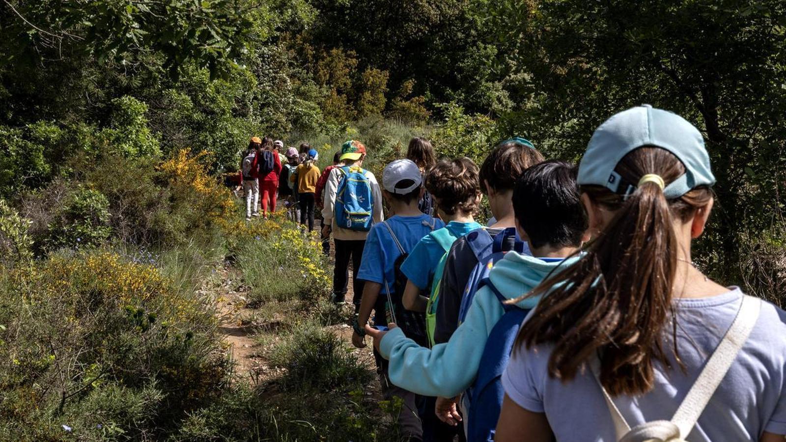 Niños de colonias con la escuela.