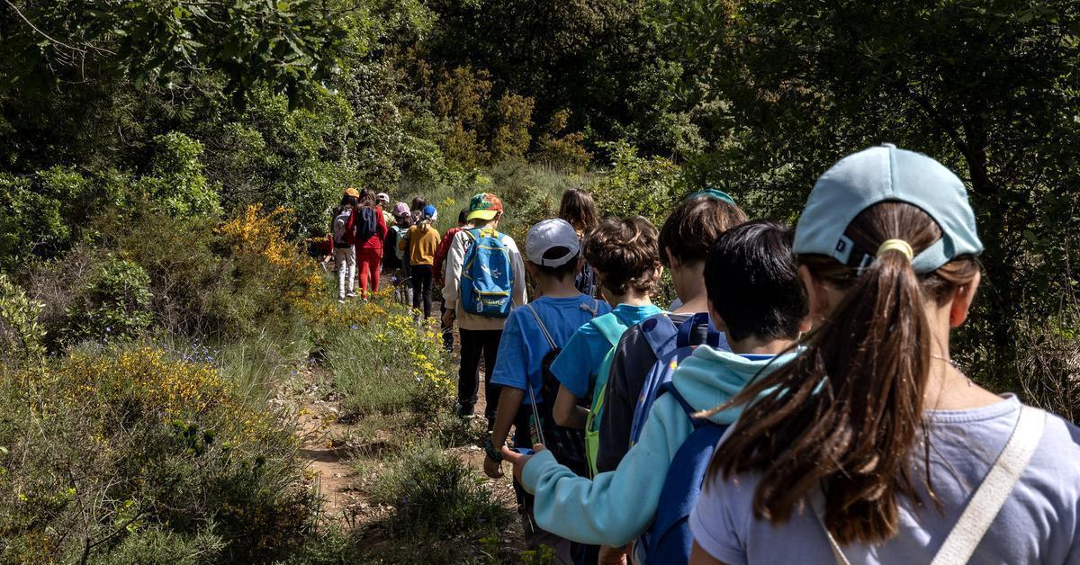Escoles i instituts busquen alternatives a les colònies escolars davant la falta de mestres voluntaris
