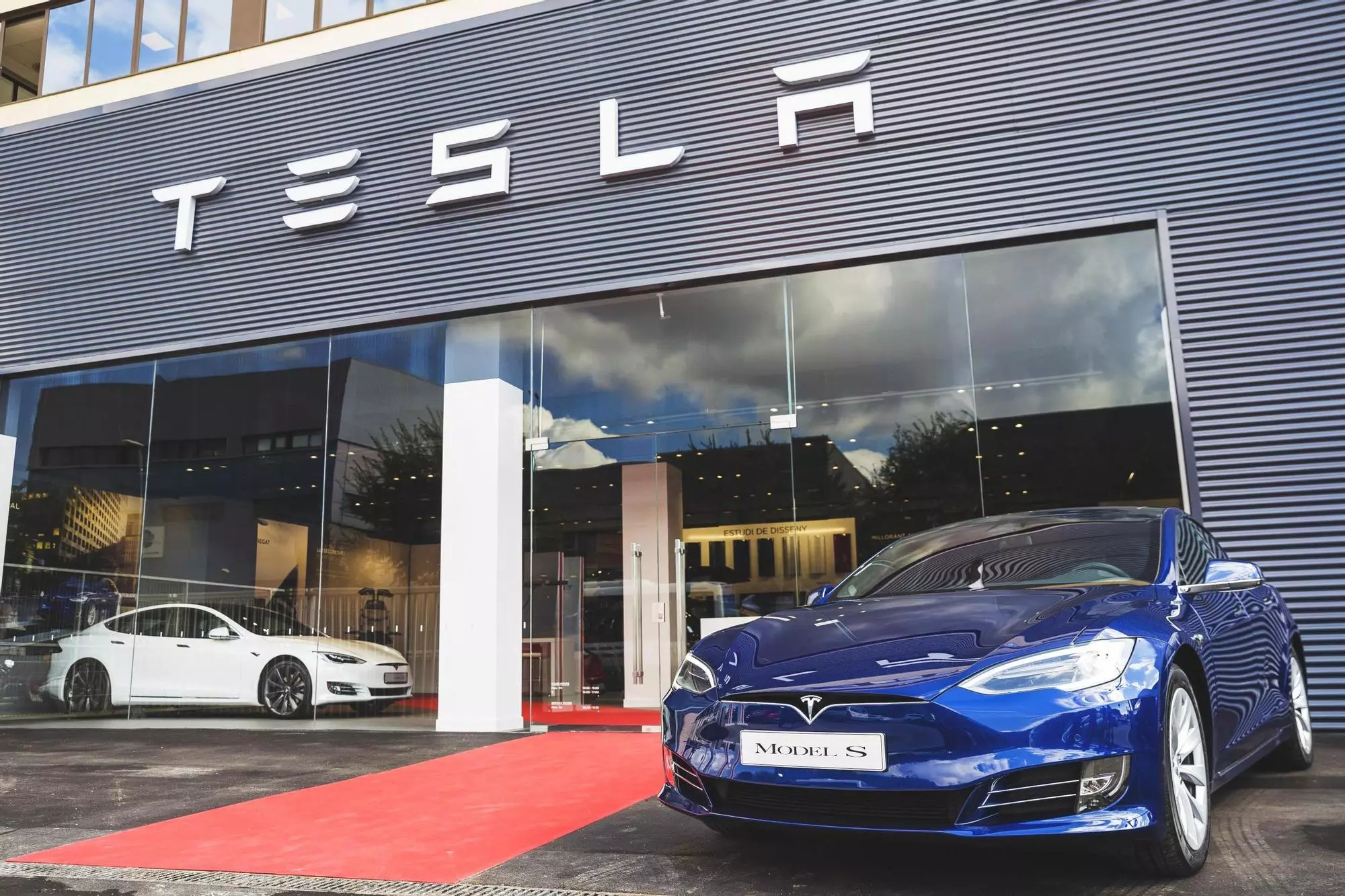 Tesla Service
