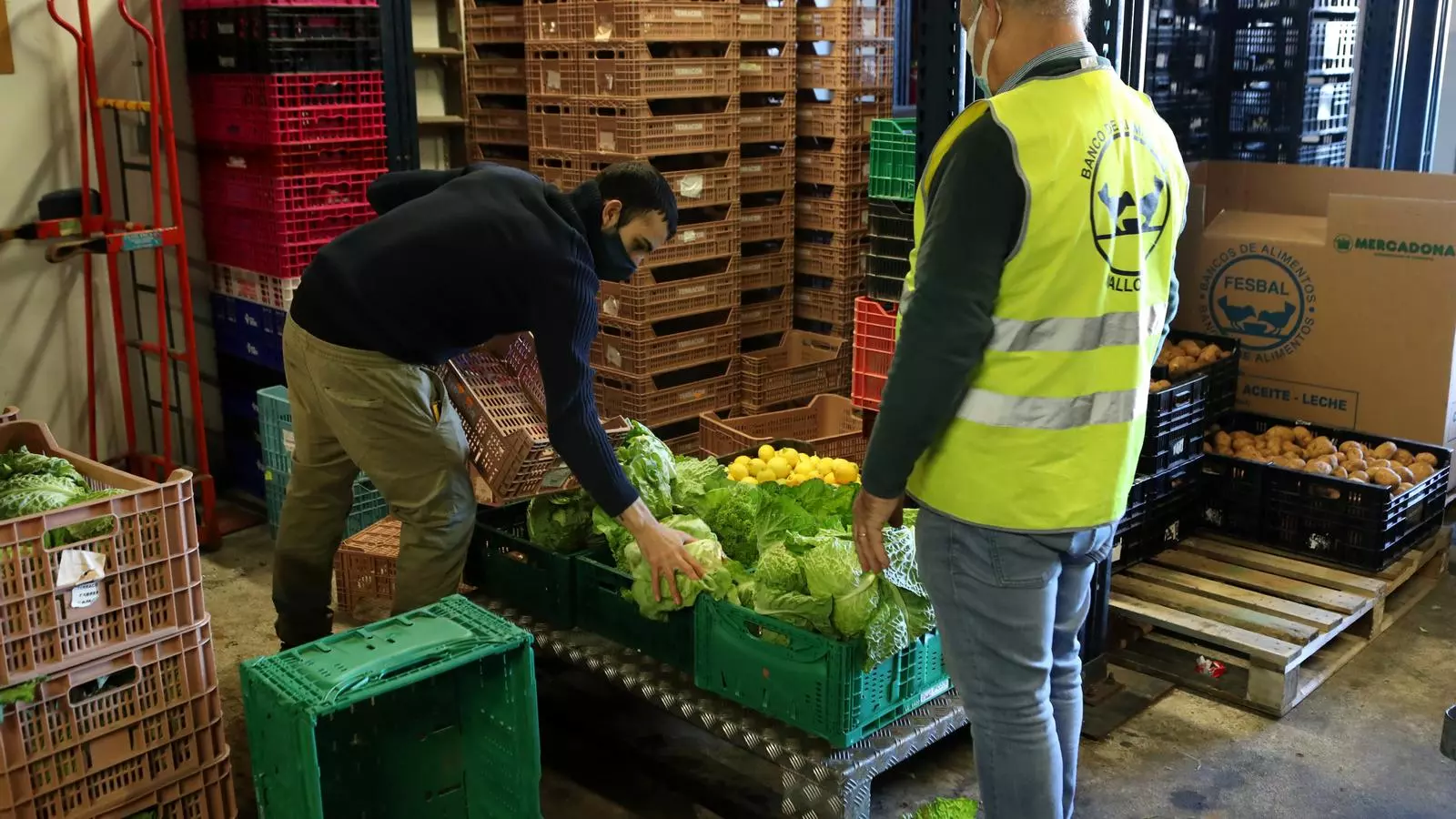 Caixons plens en un magatzem de la Fundació Banc d’Aliments de Mallorca