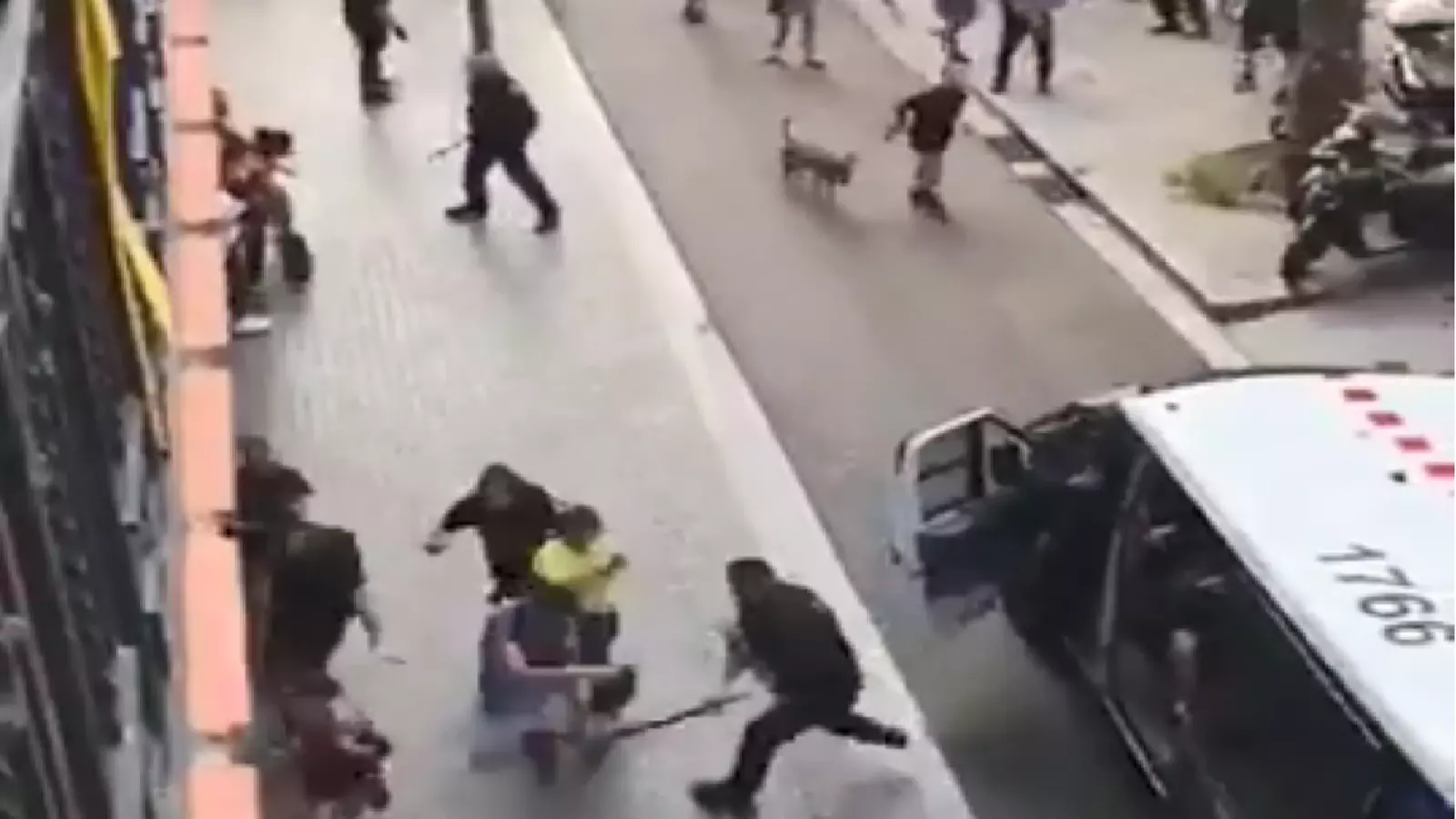La càrrega va provocar un atac d'ansietat a una veïna que passava en aquell moment pel carrer