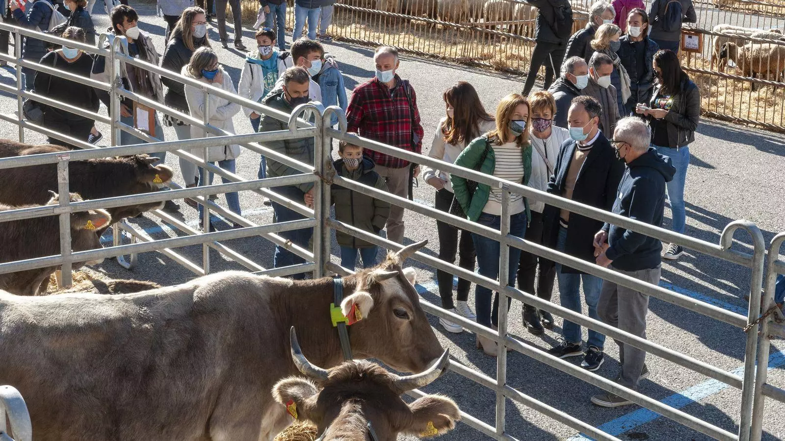 La darrera edició de la Fira del Bestiar de Canillo.