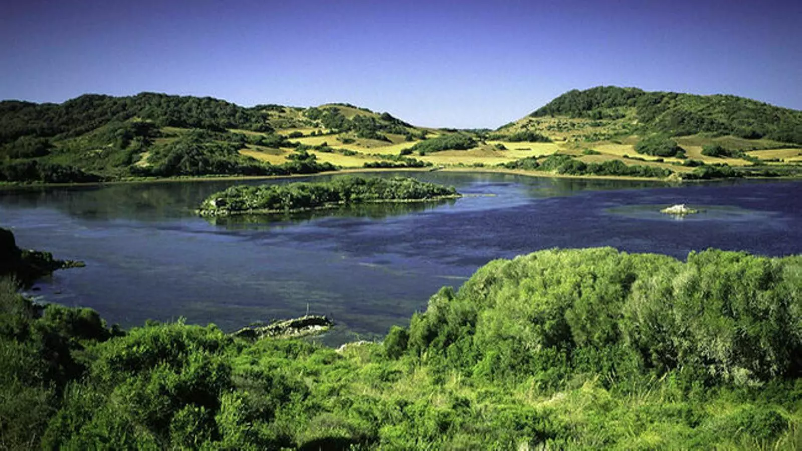 El Parc Natural de l'Albufera del Grau ha estat l'escenari de les propostes energètiques d'Unides Podem.