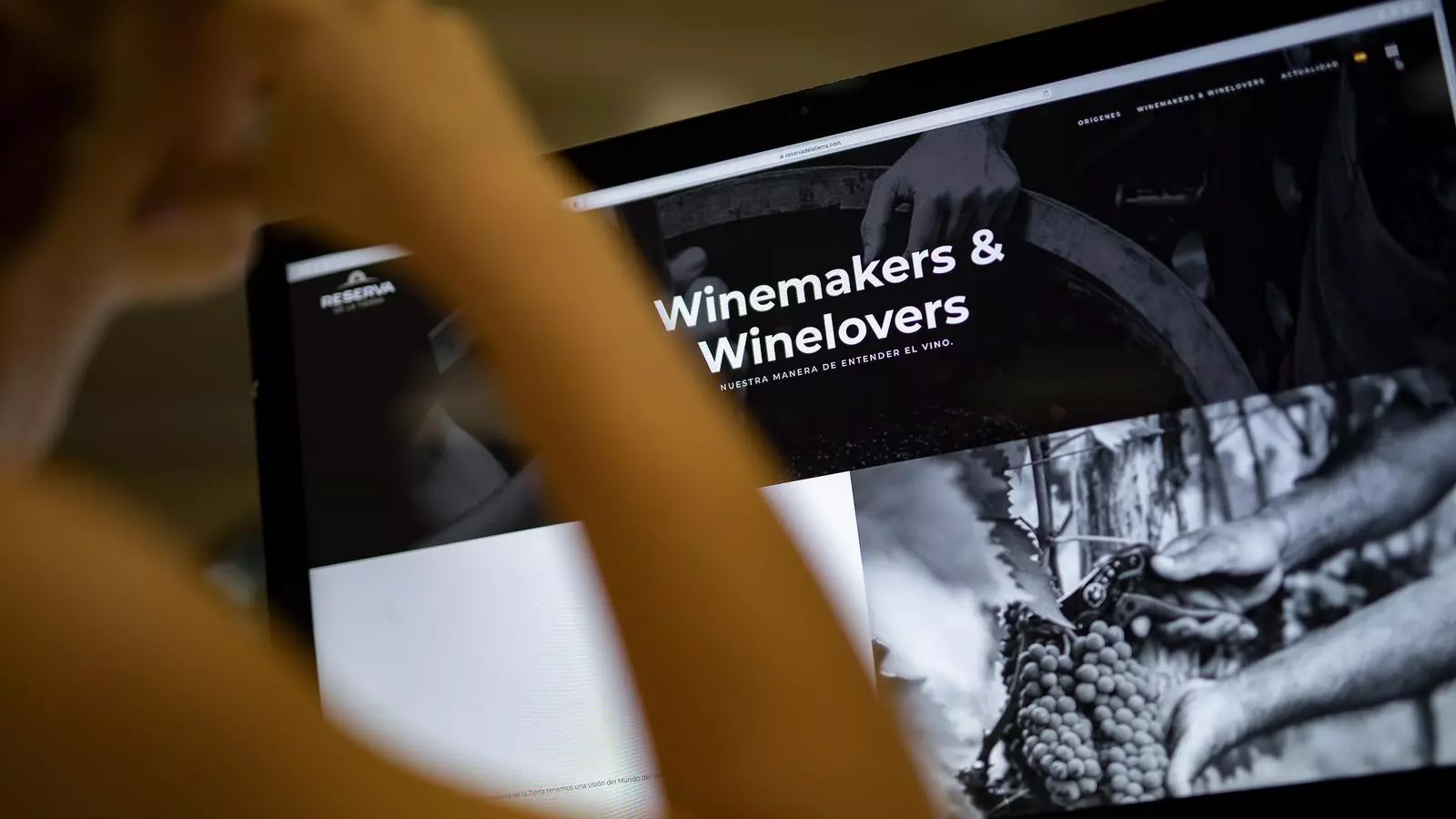 La pàgina web del celler ara investigat.