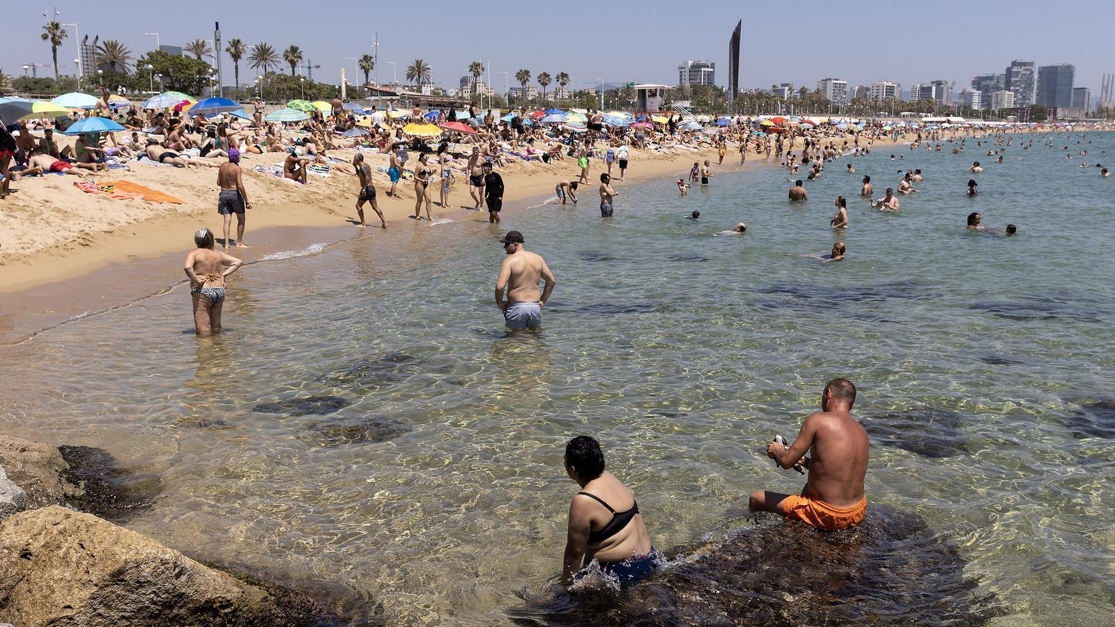 People sunbathing and cooling off at Bogatell beach today at noon