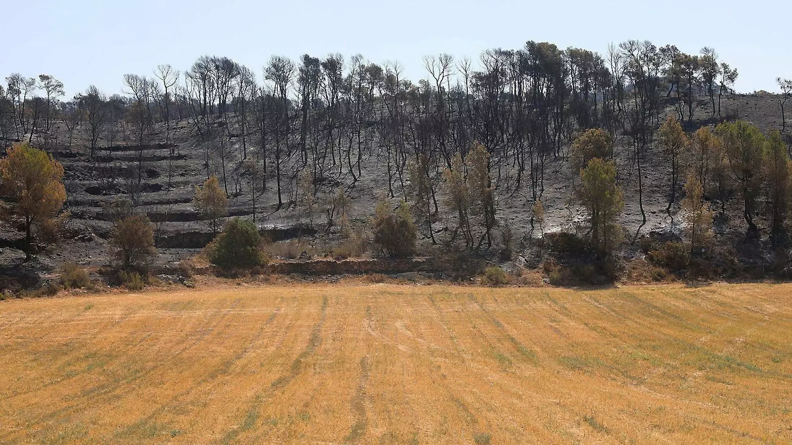 El foc que va començar dimecres ha arrasat més de 6.000 hectàrees a la zona de la Ribera d’Ebre.