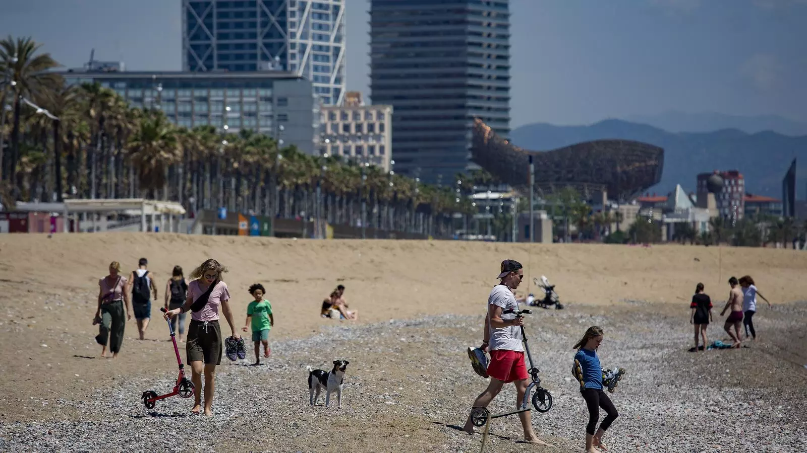 Famílies amb nens, un gos i altres persones a la platja de la Barceloneta aquest migdia