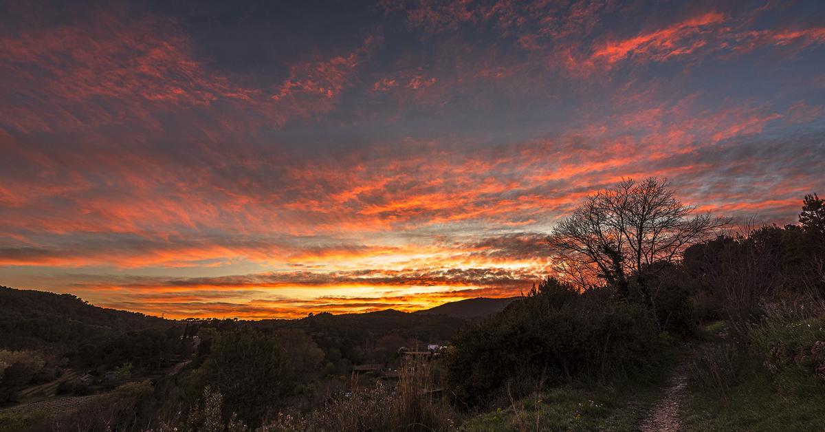 ☀️  #Laméteo | Alerta per un nou i fort temporal de vent en moltes comarques aquest cap de setmana. El nostre meteoròleg de confiança @xavis_lorrio ens explica el temps del primer cap de setmana de Setmana Santa