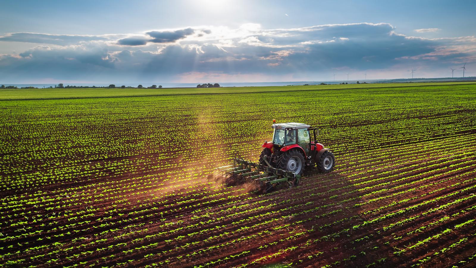 A tractor ploughing a field