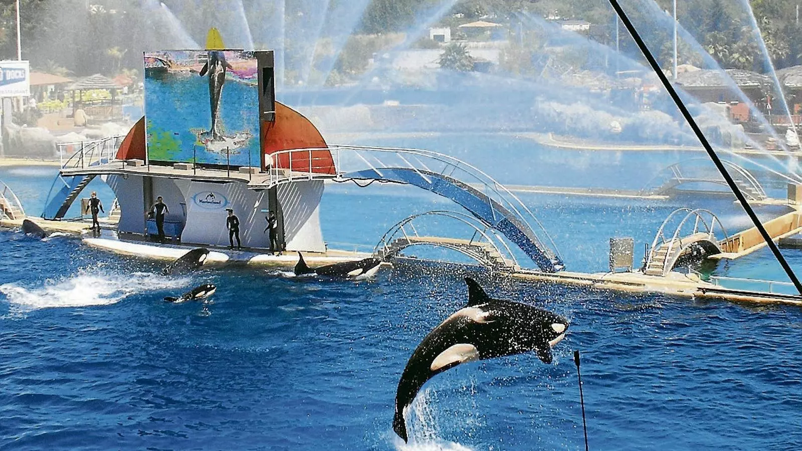 La vida en captivitat a Marineland