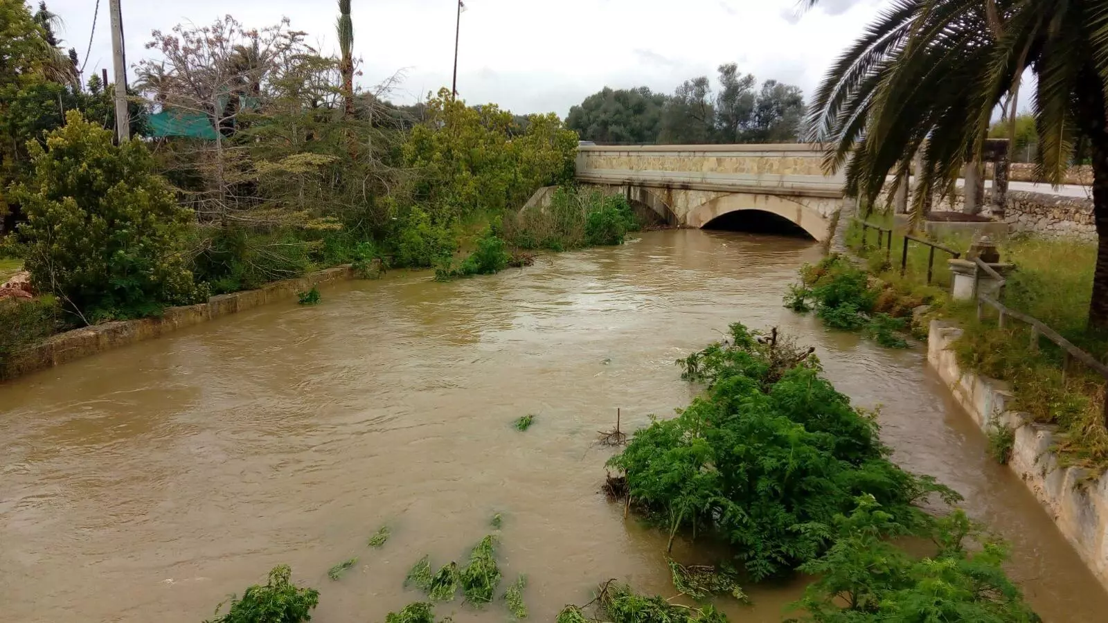 Així baixa el torrent de Sencelles aquests dies de pluja.