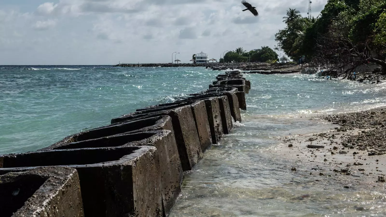 Les illes Maldives intenten contenir l'avenç del mar.