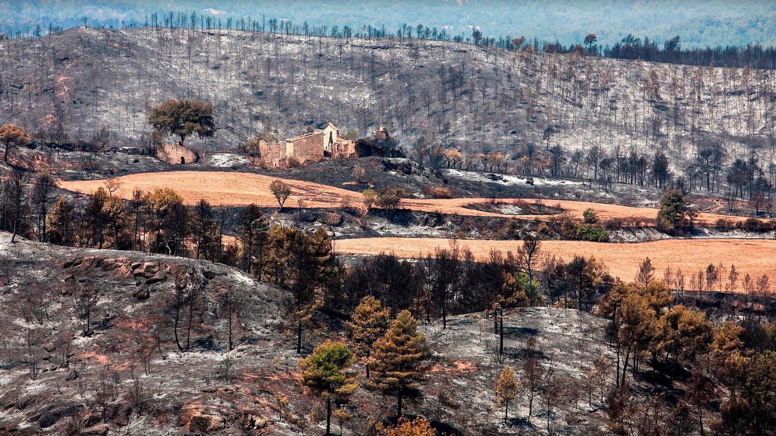 L'incendi d'Òdena, el juliol de 2015, va calcinar 1264 hectàrees