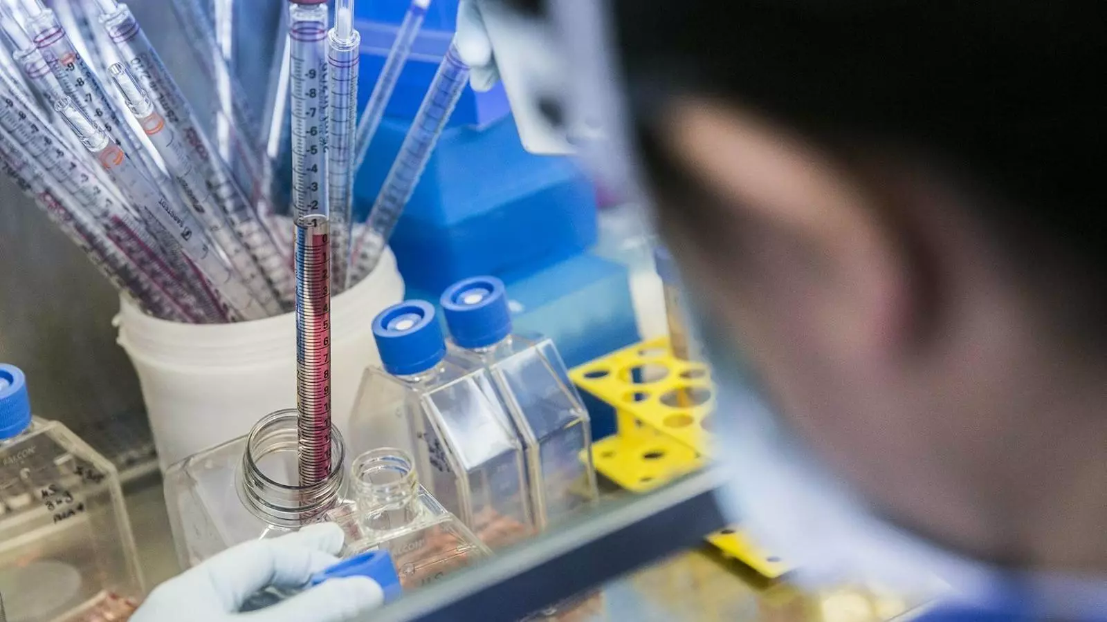 Imatge d'arxiu d'un laboratori català.