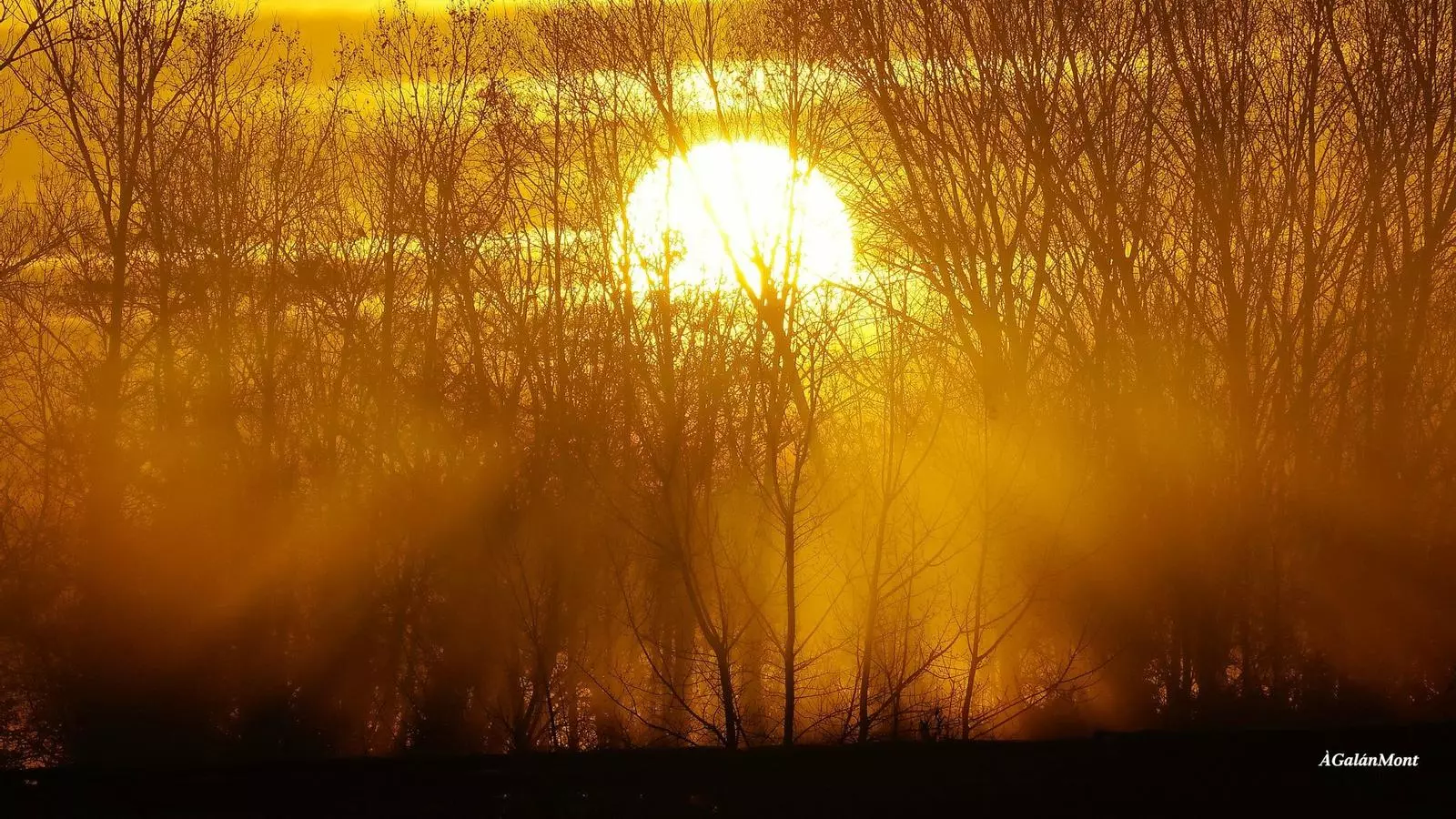 La sortida de sol d'avui des de Verges