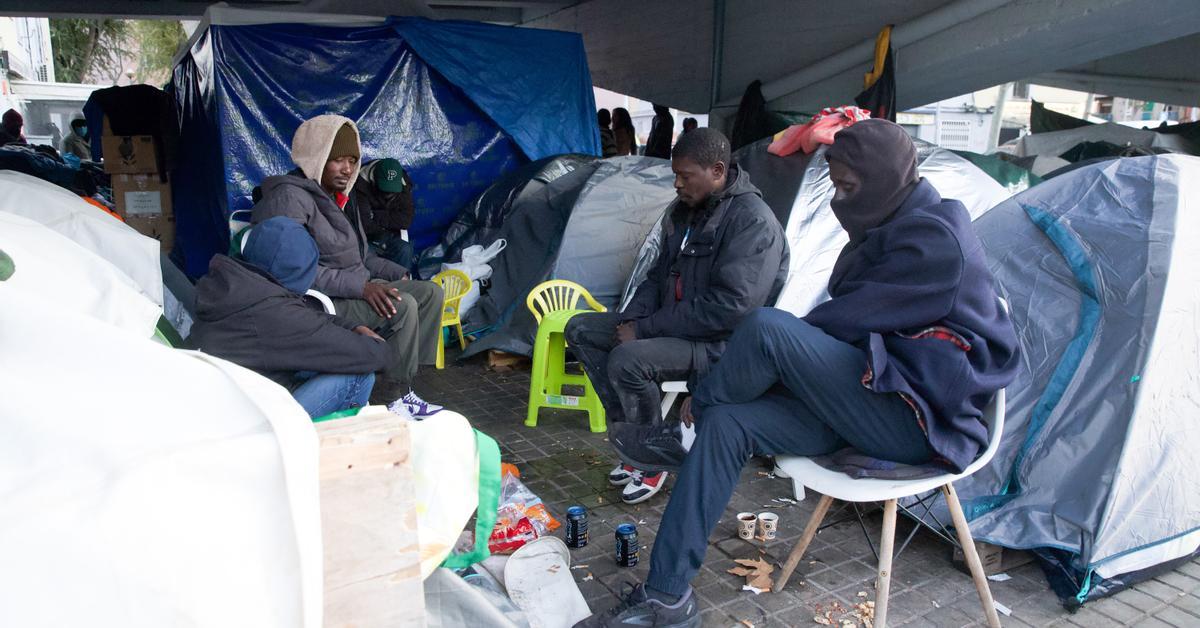 Migrants Under C-31 Bridge: Latest Updates