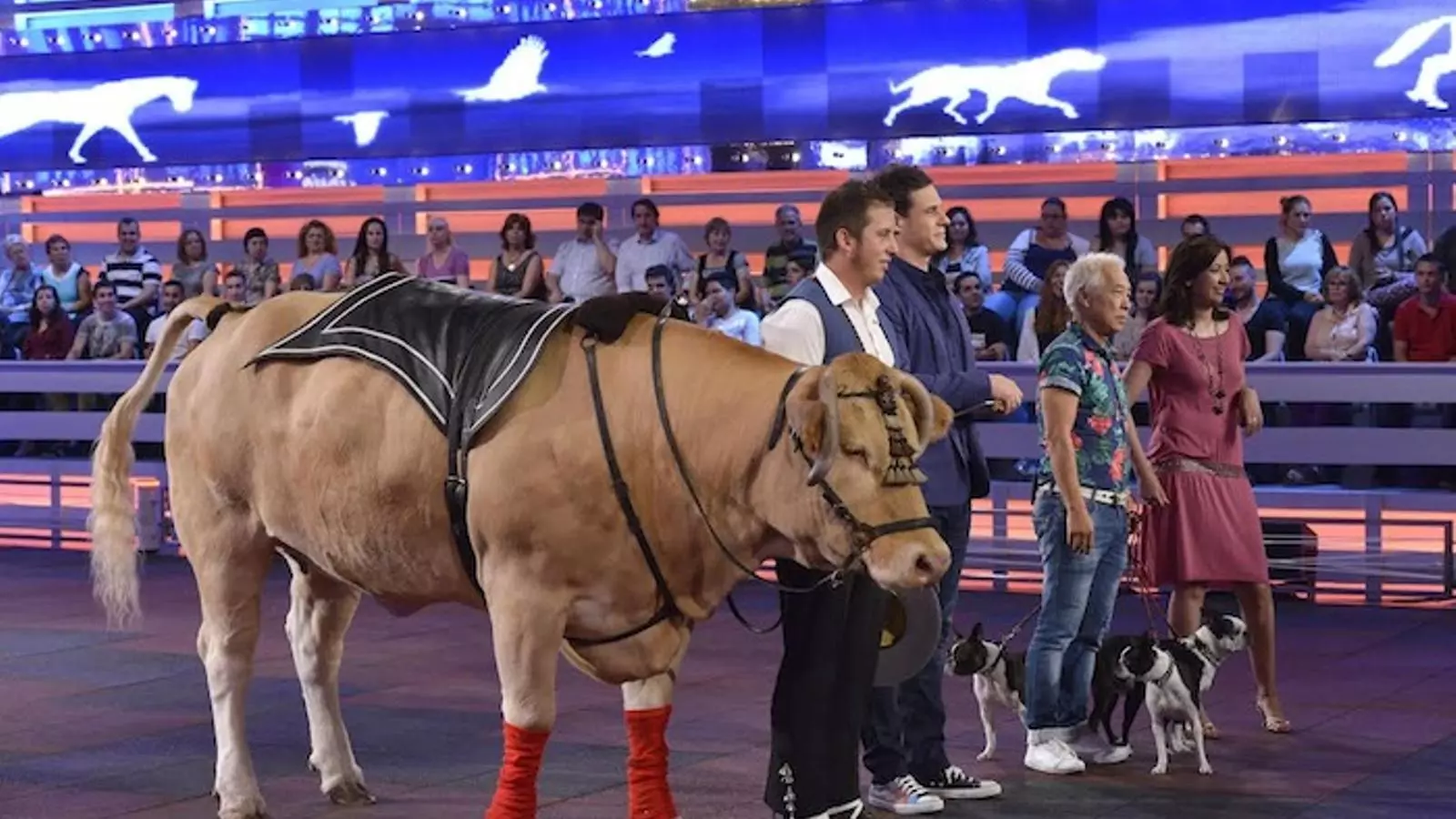 '¡Vaya fauna!' es va estrenar liderant el 'prime time' / MEDIASET