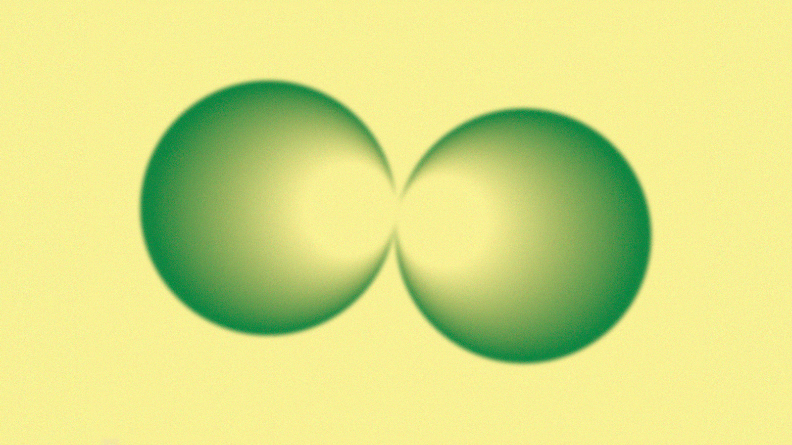 Link