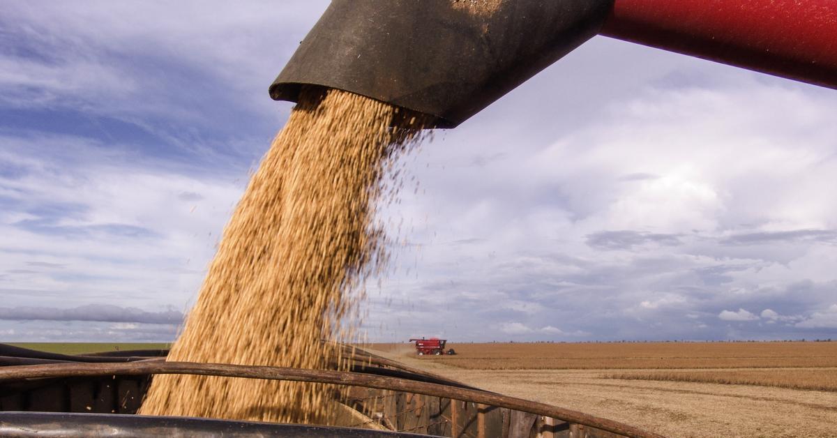 Mercosur: els pesticides surten d'Europa