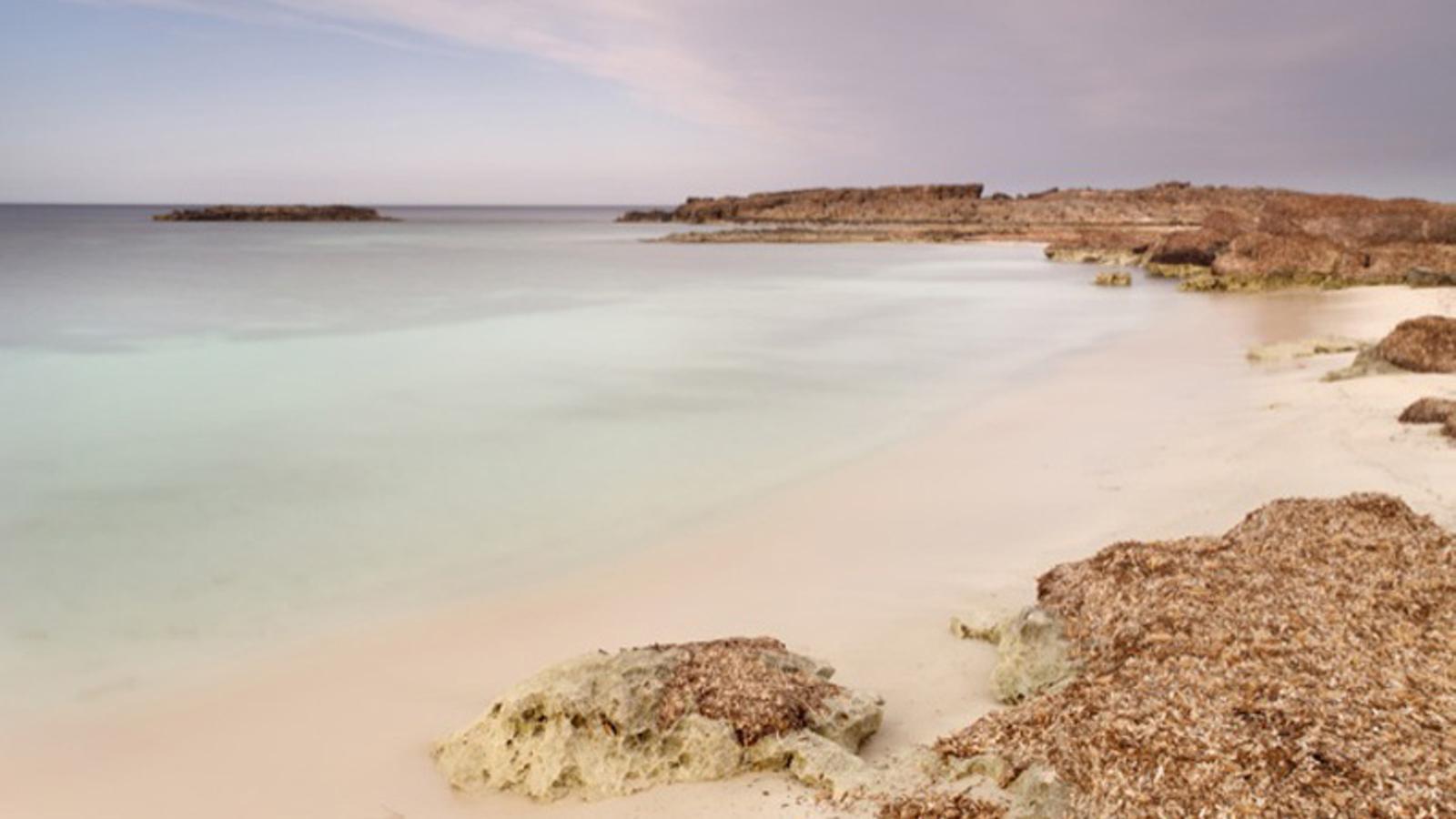 Platja de les Canyes a es Pujols, a Formentera.