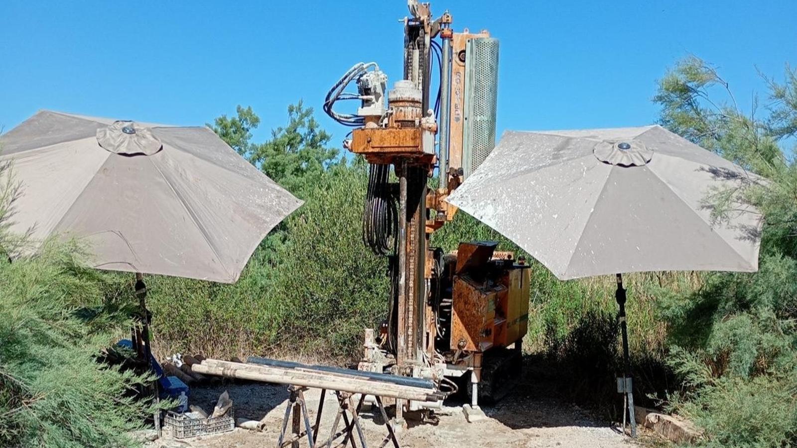 The Government records an infringement report for surveys by Red Eléctrica in Maristany during the nesting season