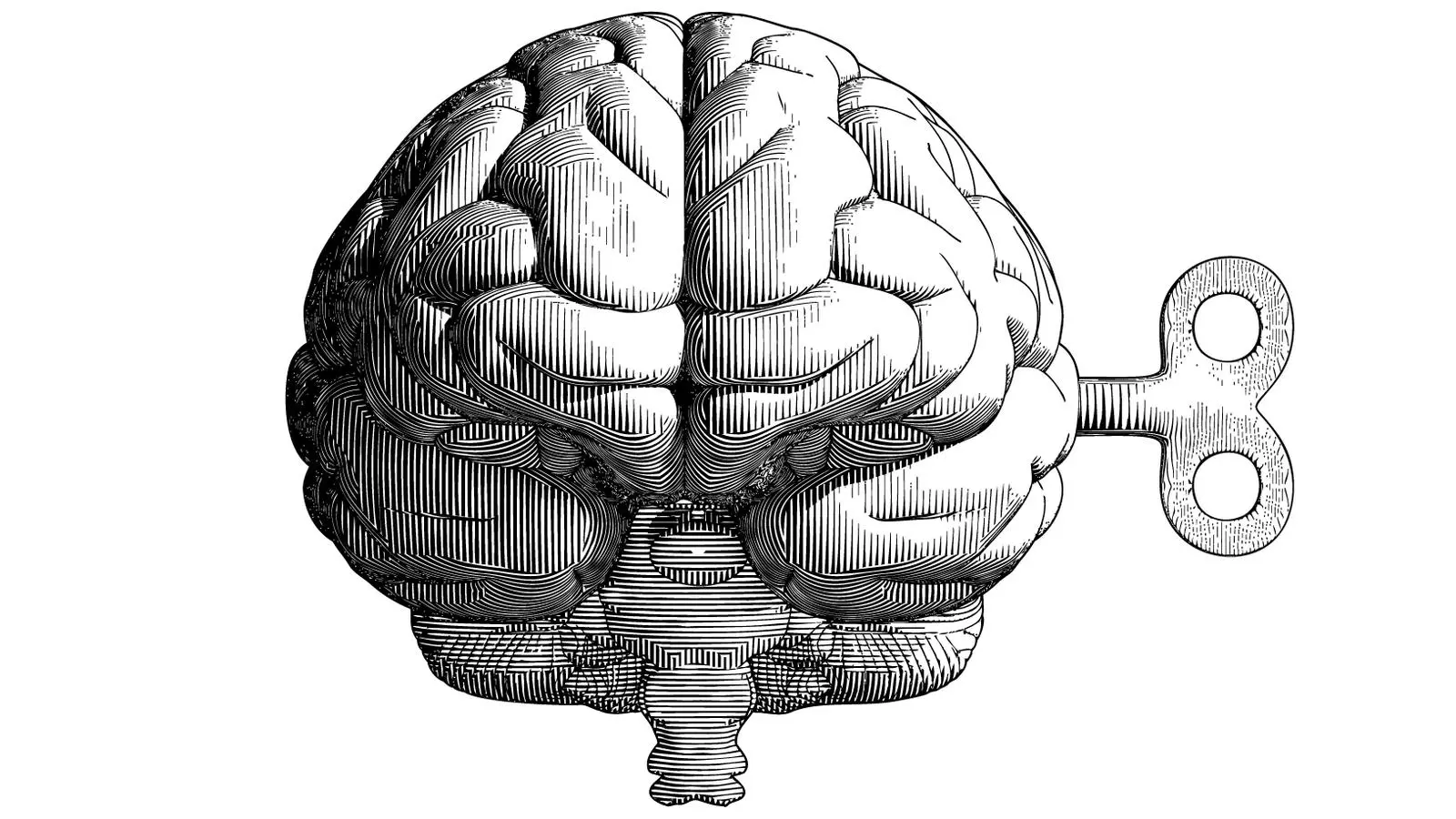 Cervell. Getty Images