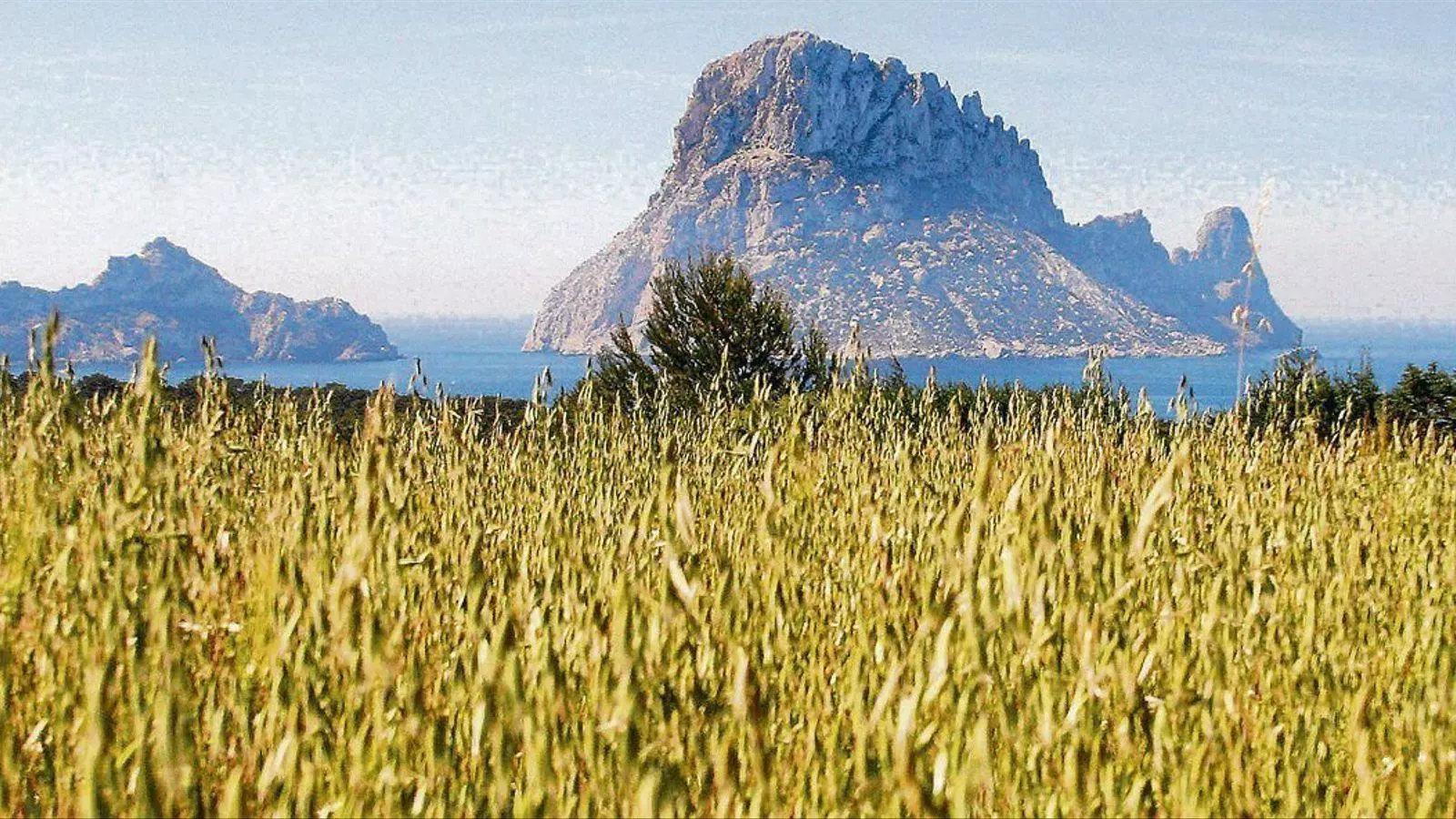 Vistes des de Cala d'Hort.