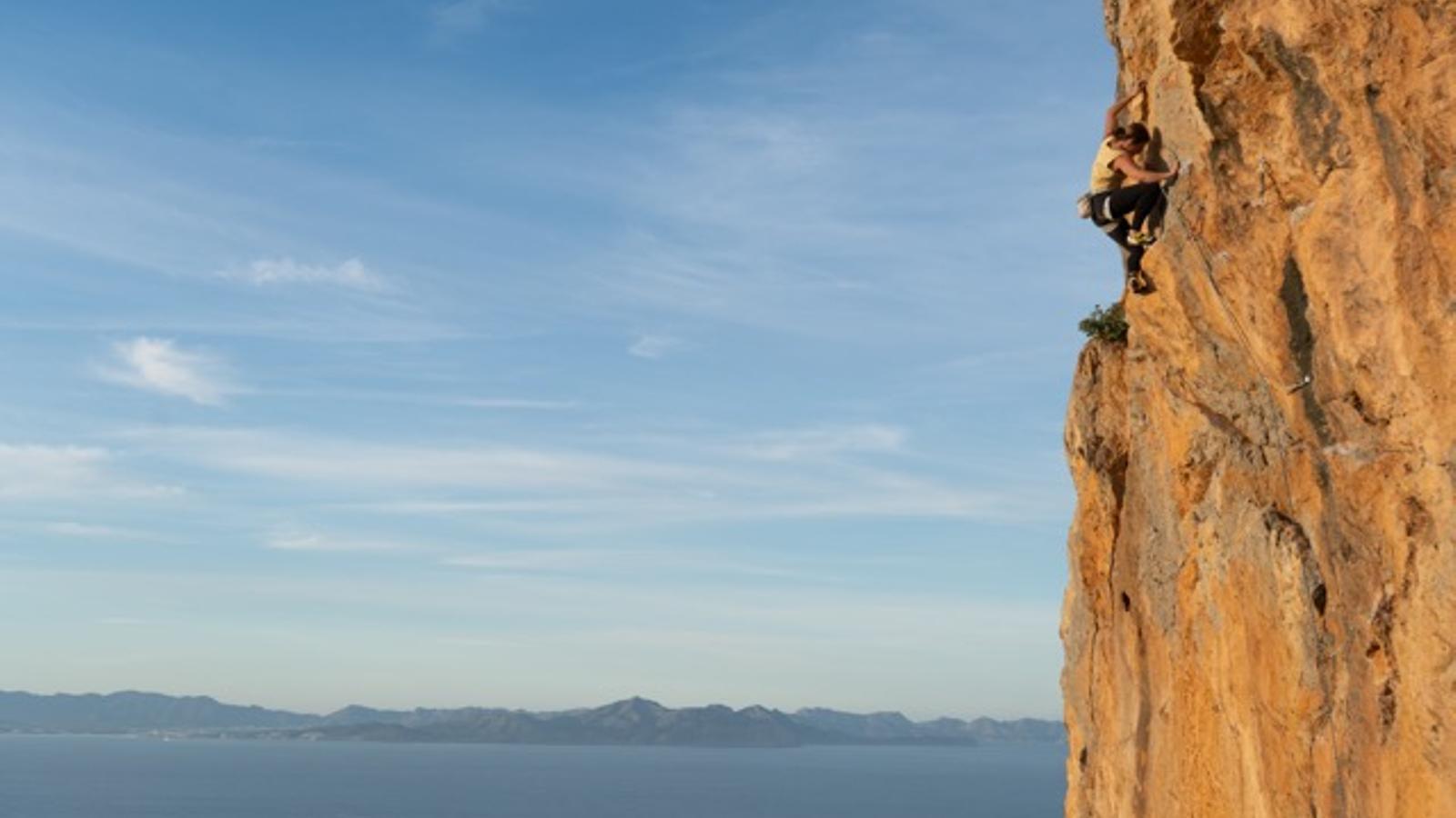 Una de les imatges presentades al concurs.
