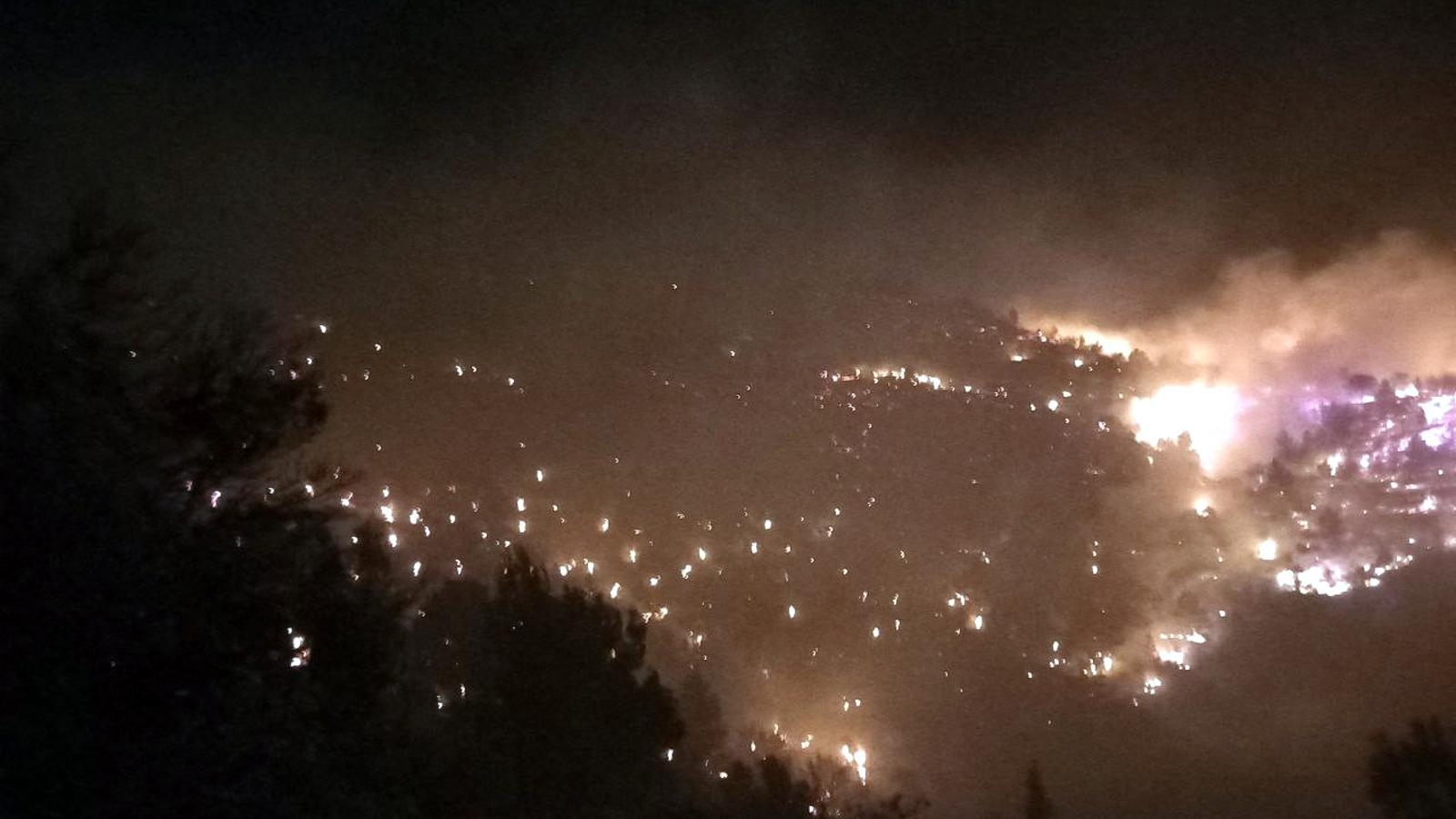 Imatge de l'incendi forestal que afecta unes 30 hectàrees de vegetació a Tortosa