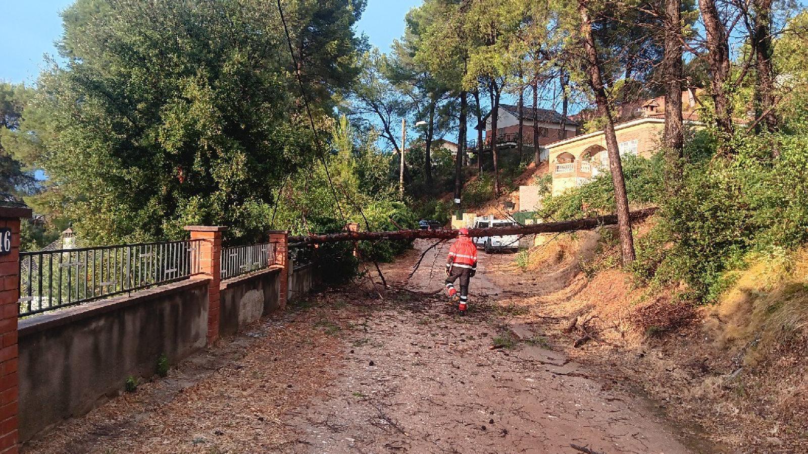 The majority of services have been for fallen trees