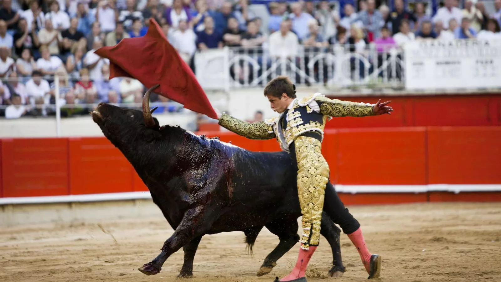 José Tomàs, en un moment de l'última corrida a la Monumental