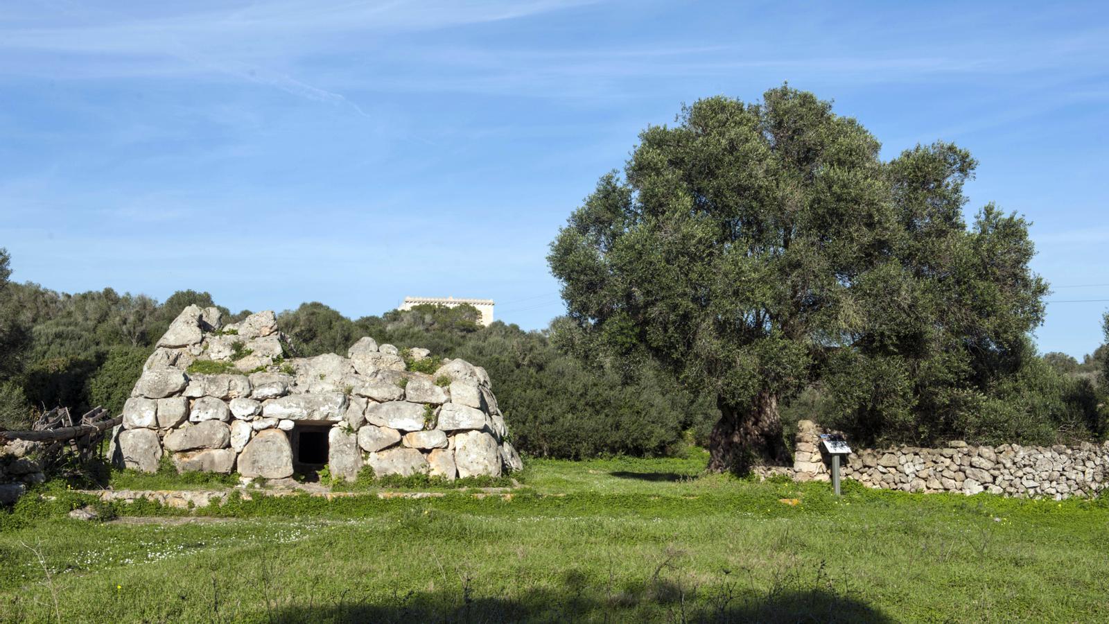 Una de las navetas prehistóricas de Rafal Rubí.