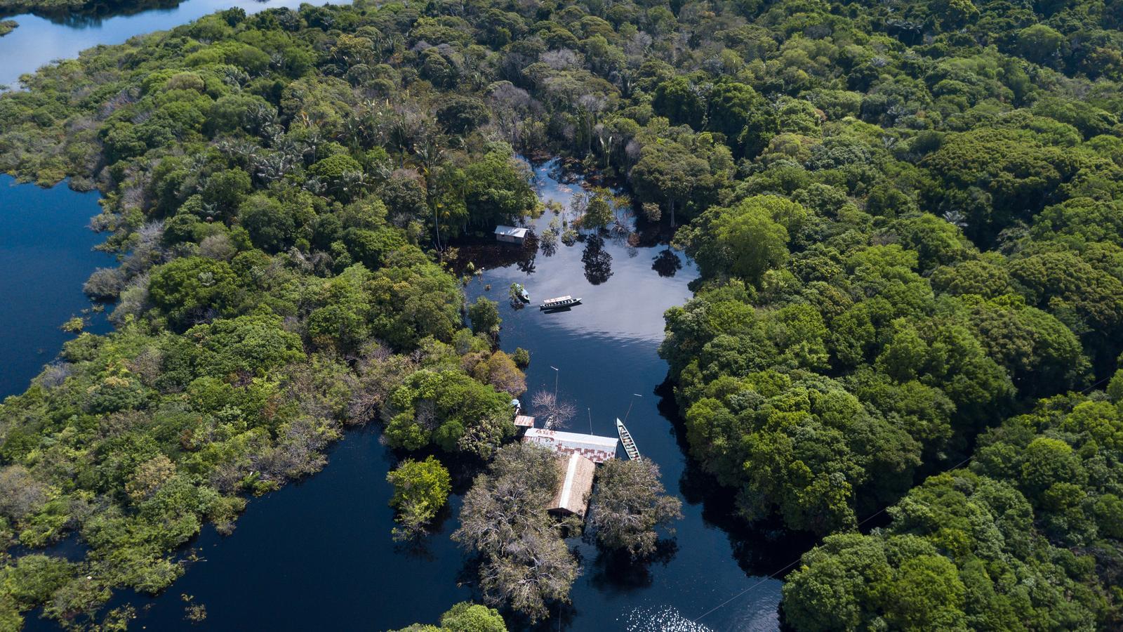 Aerial view of the Negro River.
