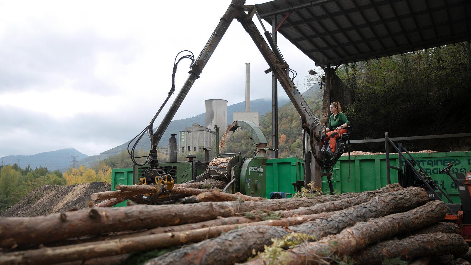 A woman working in the Commonwealth of Berguedà municipalities for biomass