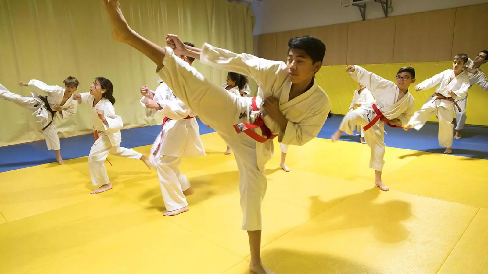 Alguns dels membres del Karate Club Shotokan. / COMÚ ANDORRA LA VELLA