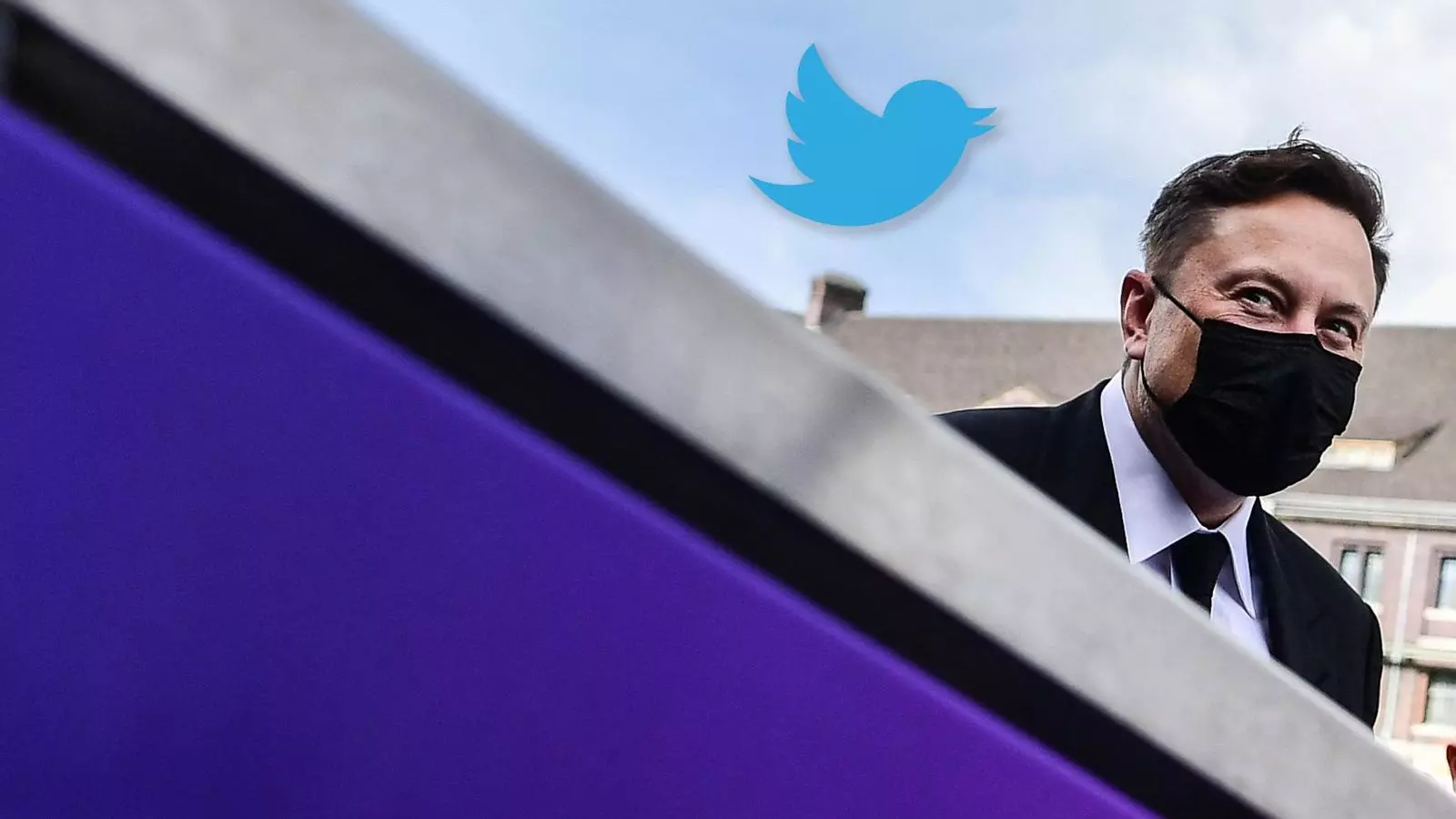 Elon Musk ha comprat el 9,5% de les accions de Twitter
