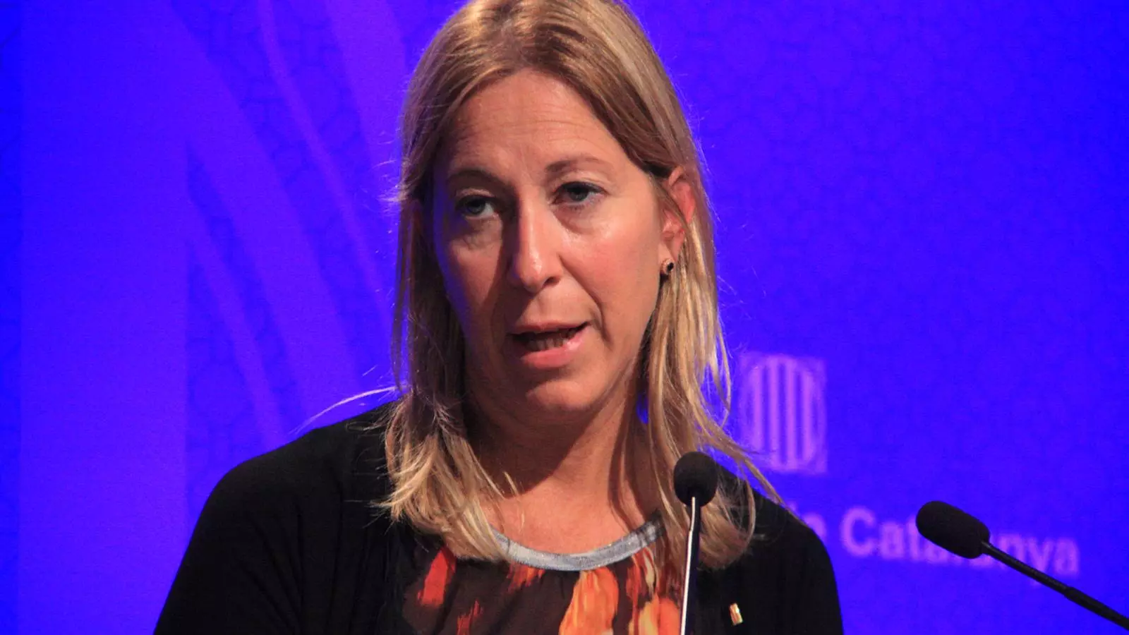 La portaveu del Govern, Neus Munté, en roda de premsa després del Consell Executiu / ACN