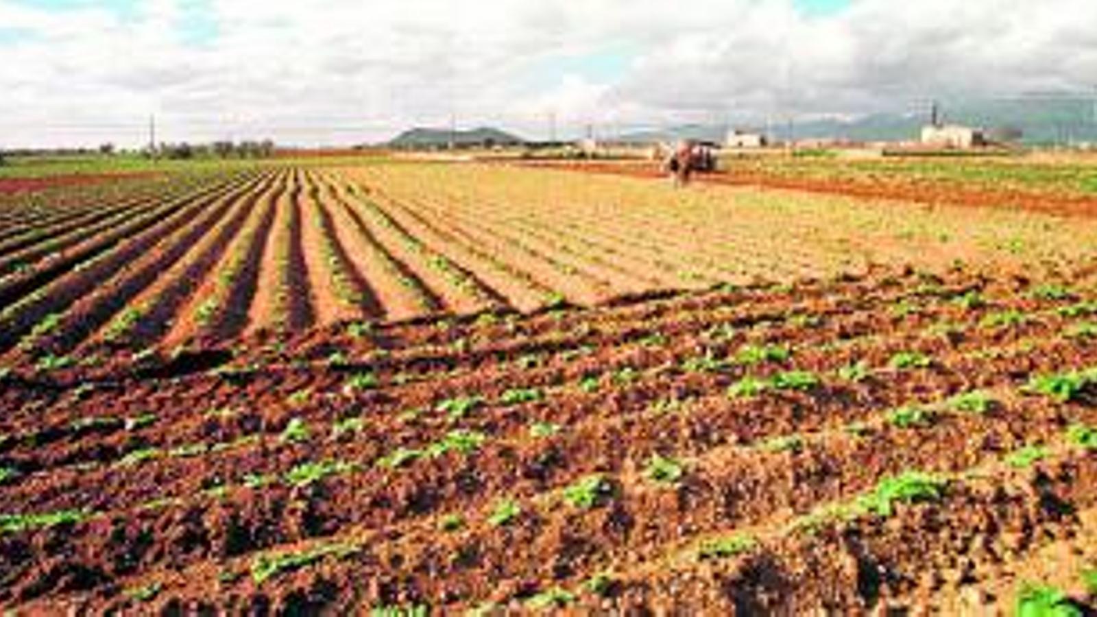 The keys to the controversy for the future agrarian law