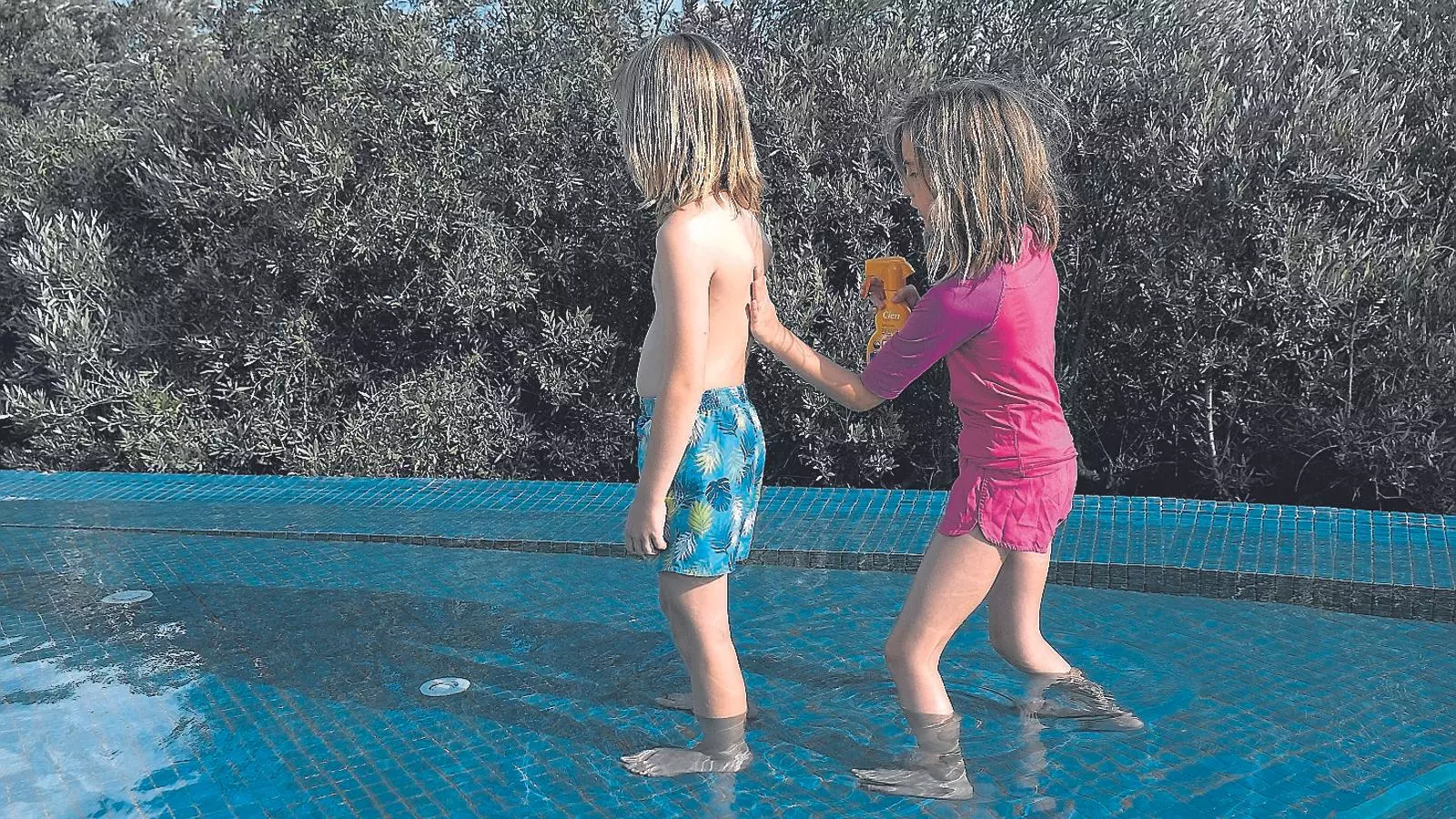 Cal protegir les criatures del sol