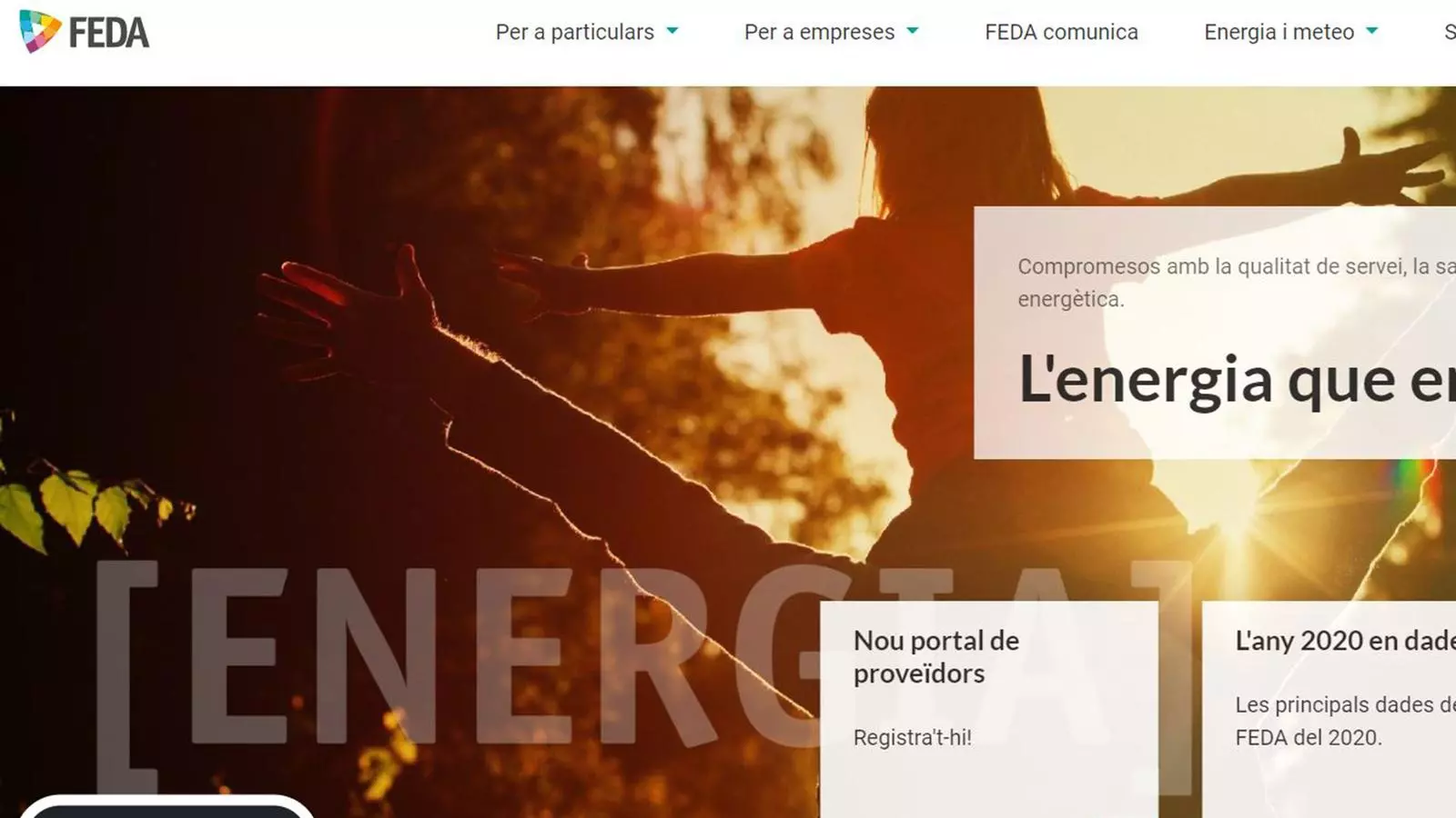 Nou disseny de la web de FEDA